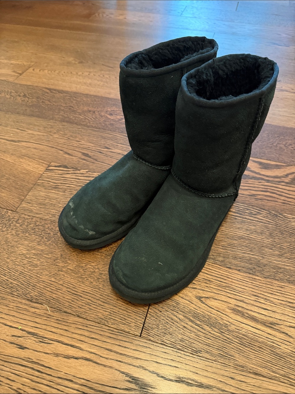 Classic UGG short black
